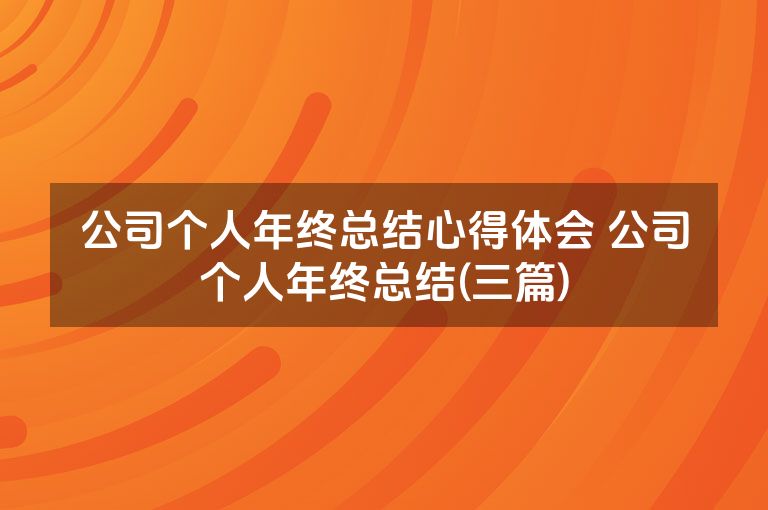 公司个人年终总结心得体会 公司个人年终总结(三篇)