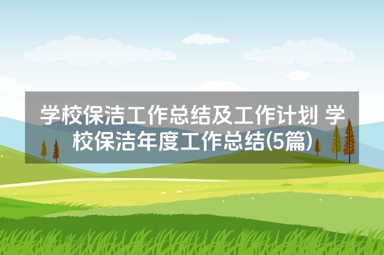 学校保洁工作总结及工作计划 学校保洁年度工作总结(5篇)