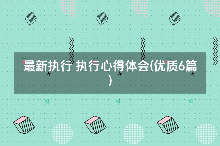 最新执行 执行心得体会(优质6篇)