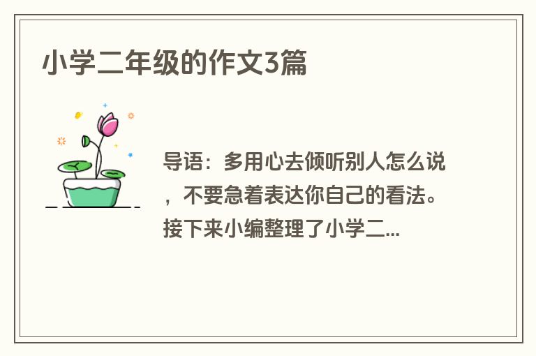 小学二年级的作文3篇