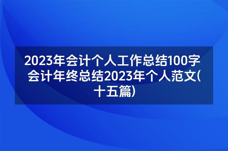 2023年会计个人工作总结100字 会计年终总结2023年个人范文(十五篇)