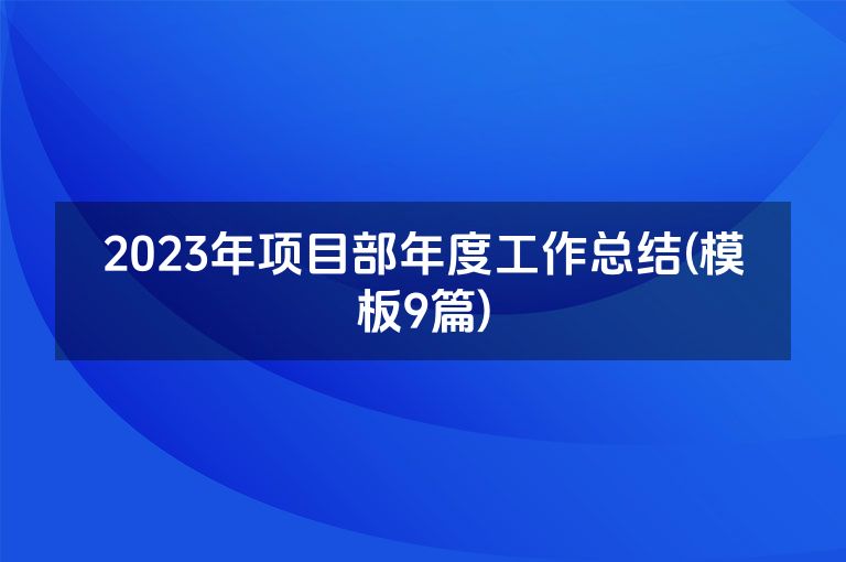 2023年项目部年度工作总结(模板9篇)