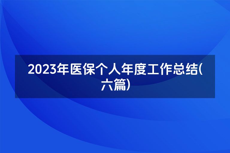 2023年医保个人年度工作总结(六篇)