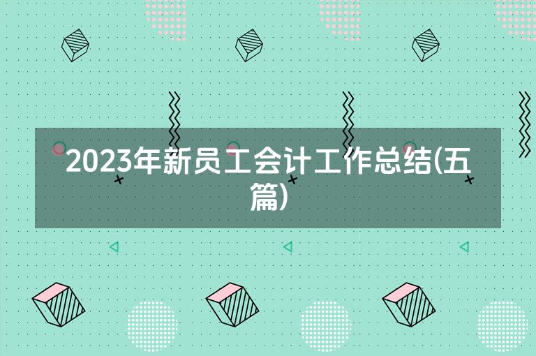 2023年新员工会计工作总结(五篇)