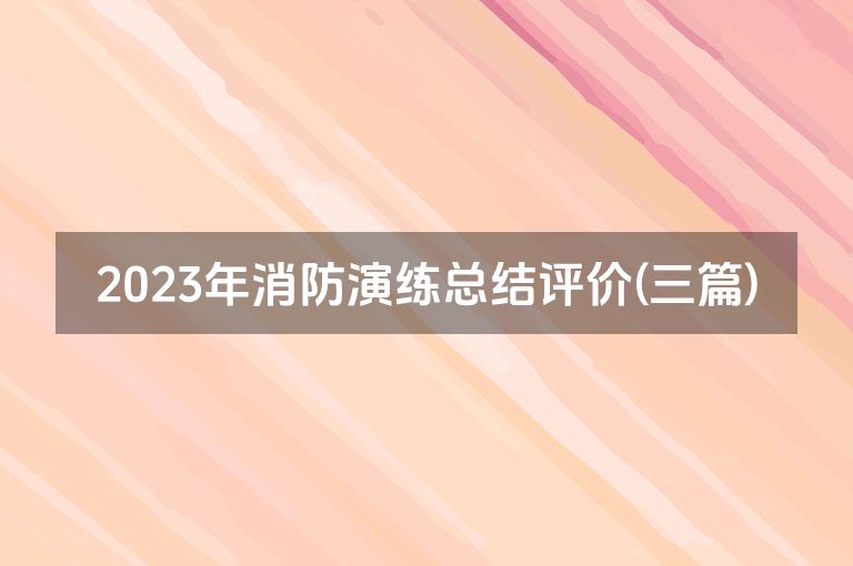 2023年消防演练总结评价(三篇)