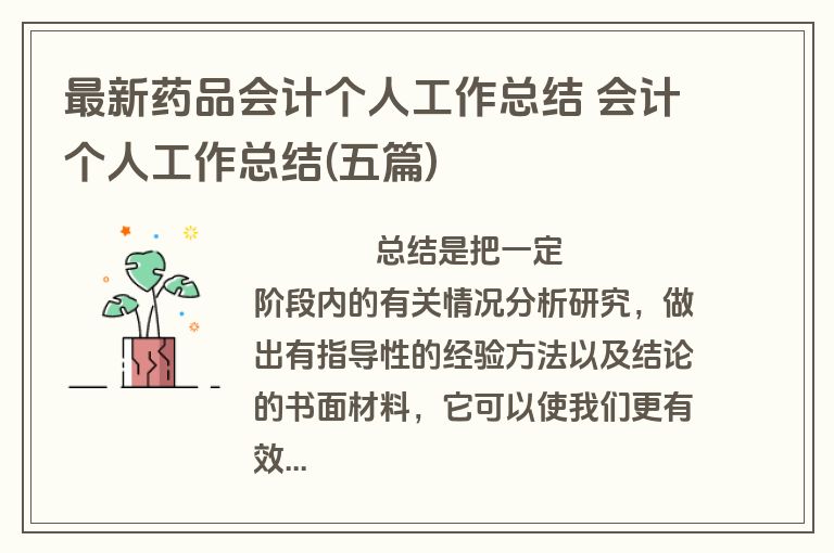 最新药品会计个人工作总结 会计个人工作总结(五篇)