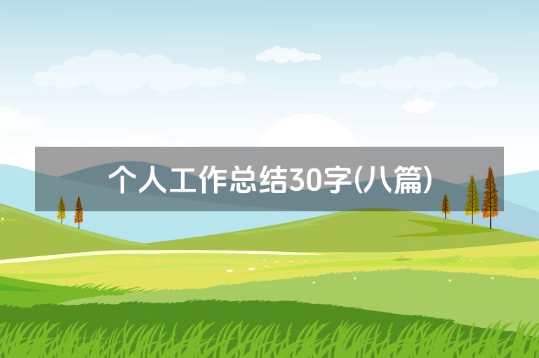 个人工作总结30字(八篇)