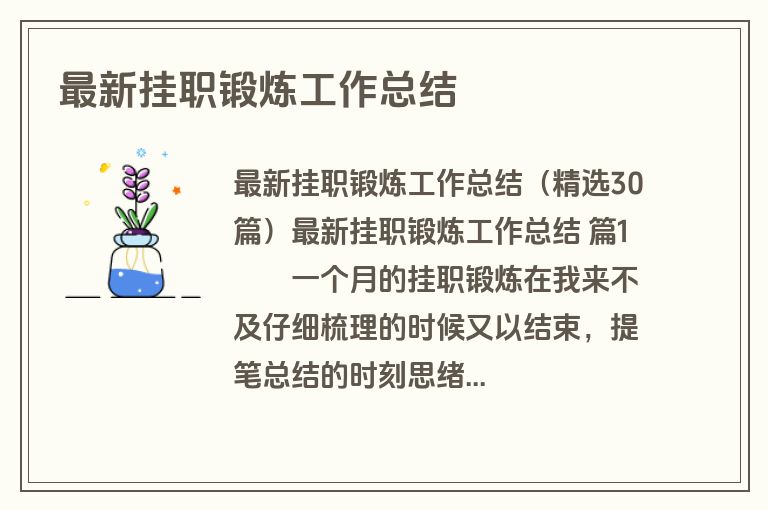 最新挂职锻炼工作总结