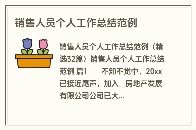 销售人员个人工作总结范例