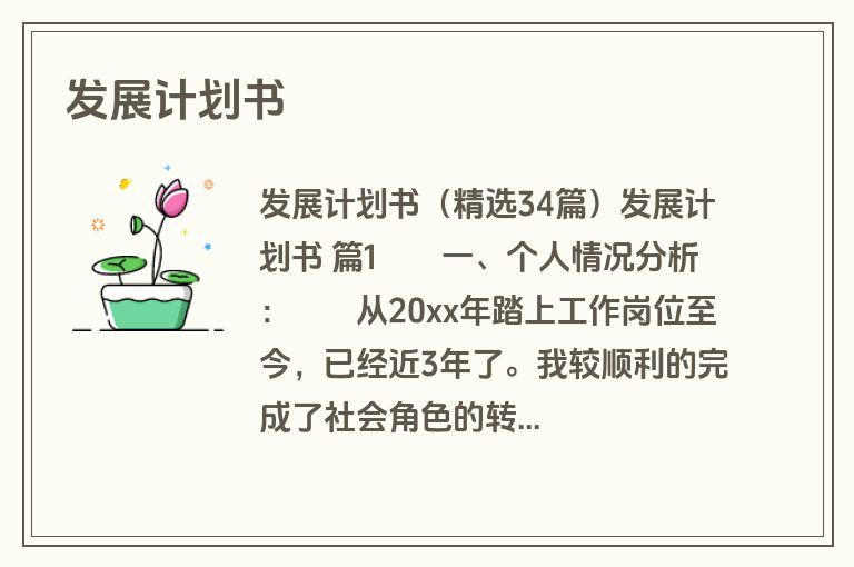 发展计划书
