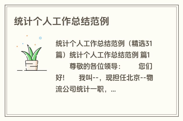 统计个人工作总结范例