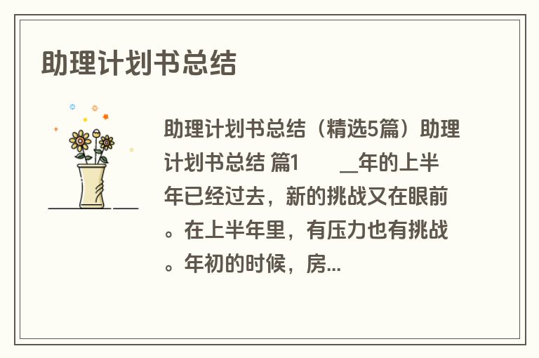 助理计划书总结