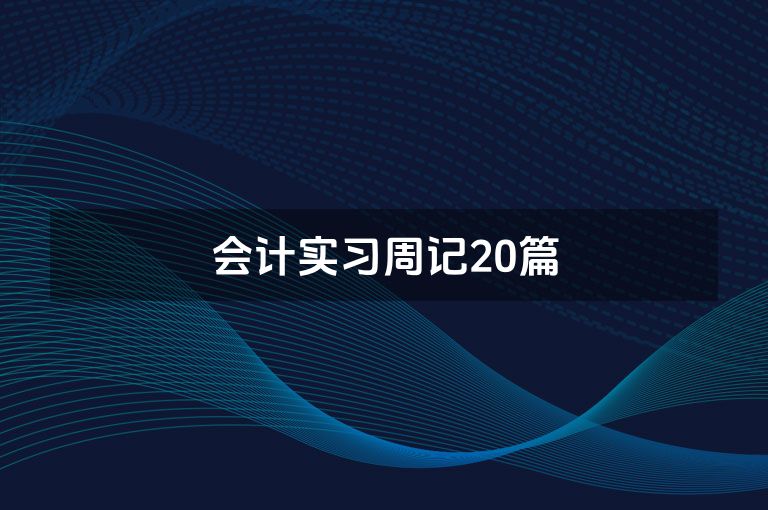 会计实习周记20篇