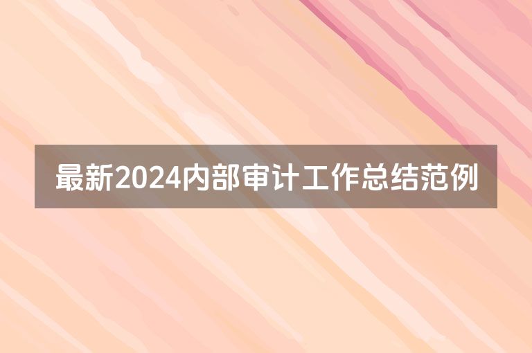 最新2024内部审计工作总结范例