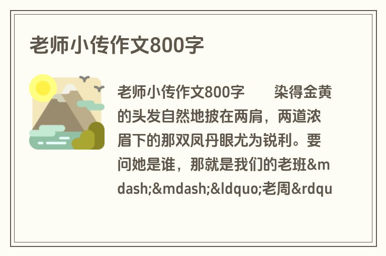 老师小传作文800字