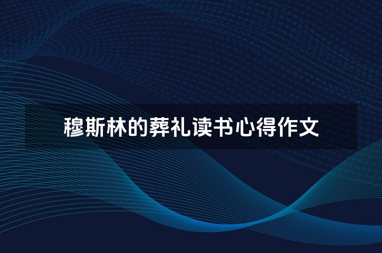 穆斯林的葬礼读书心得作文