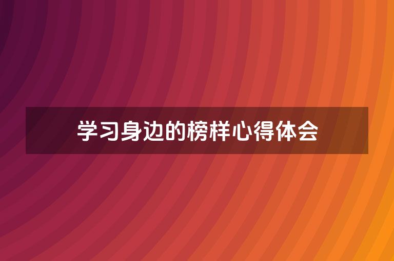 学习身边的榜样心得体会