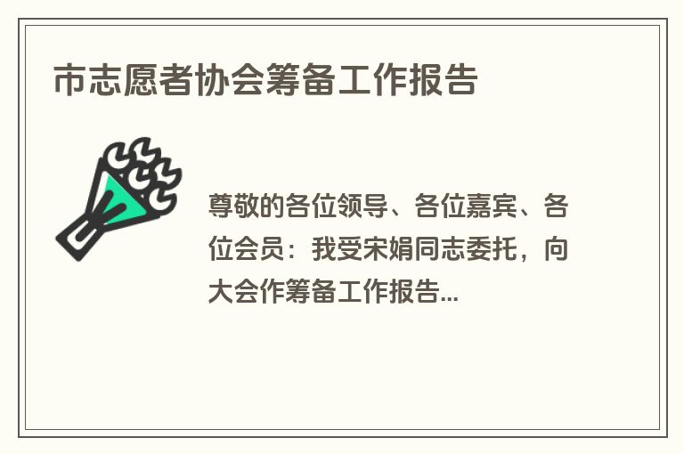 市志愿者协会筹备工作报告