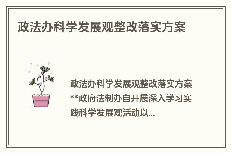 政法办科学发展观整改落实方案