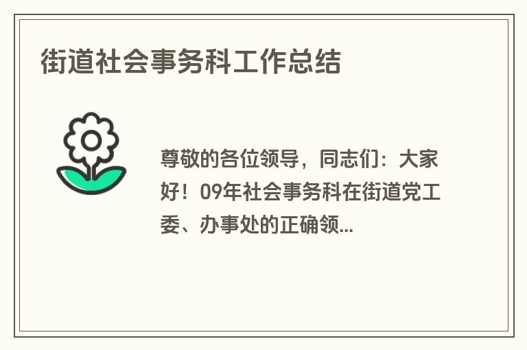 街道社会事务科工作总结