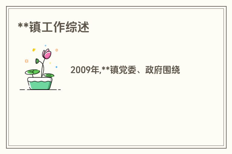 **镇工作综述
