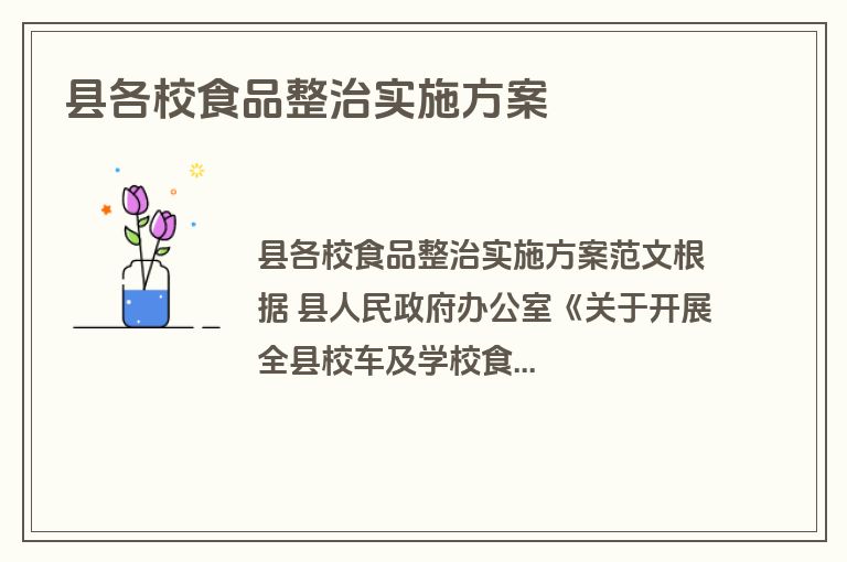 县各校食品整治实施方案
