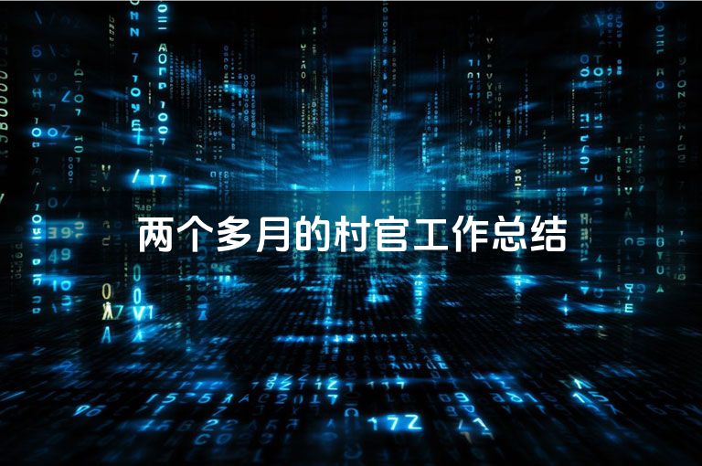 两个多月的村官工作总结
