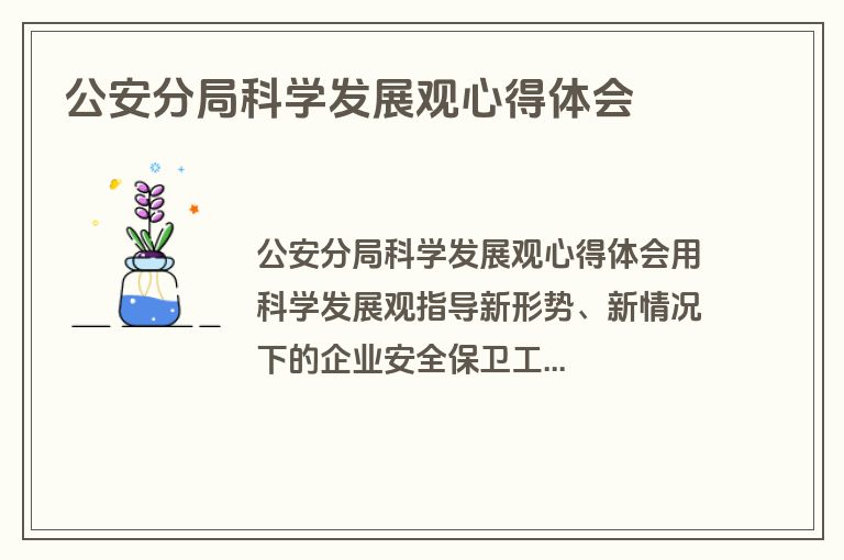 公安分局科学发展观心得体会