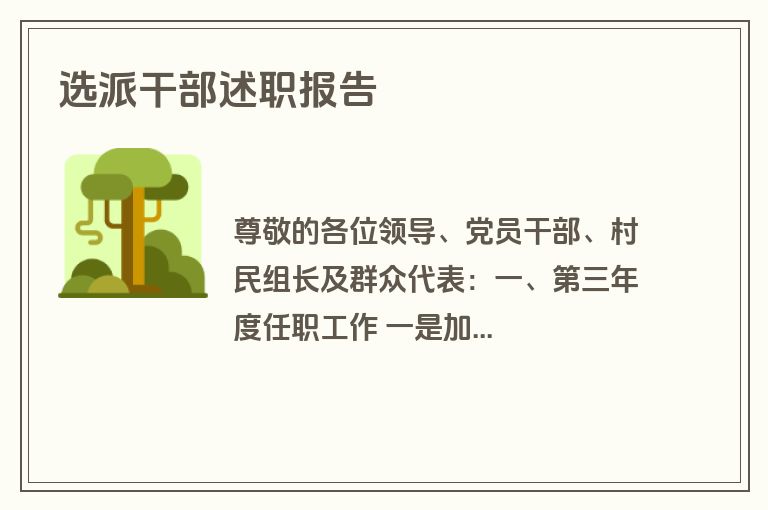 选派干部述职报告