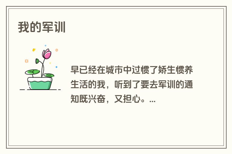 我的军训