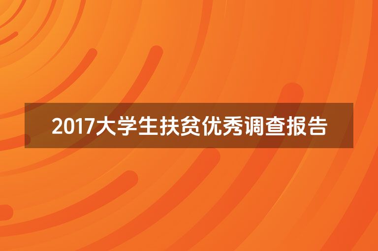 2017大学生扶贫优秀调查报告