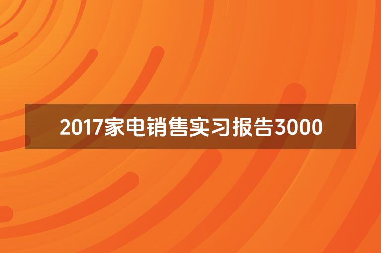 2017家电销售实习报告3000