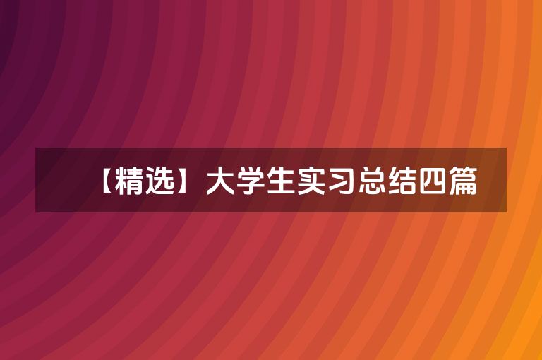 【精选】大学生实习总结四篇