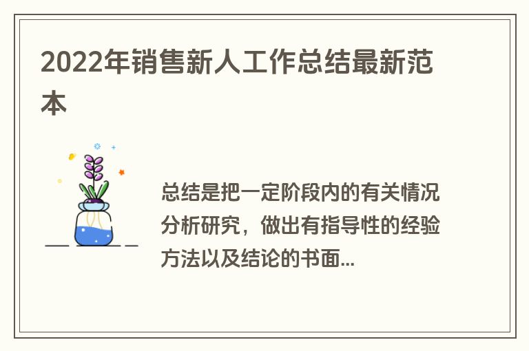 2022年销售新人工作总结最新范本