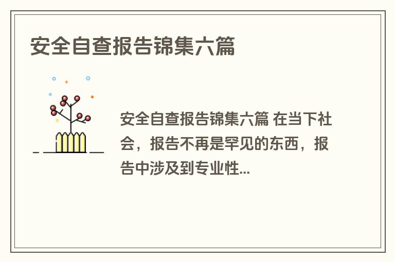 安全自查报告锦集六篇