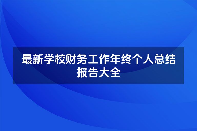最新学校财务工作年终个人总结报告大全