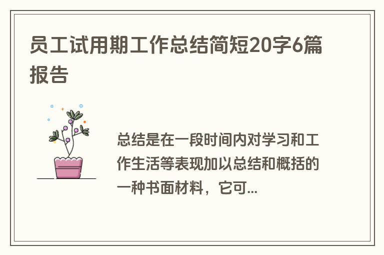 员工试用期工作总结简短20字6篇报告