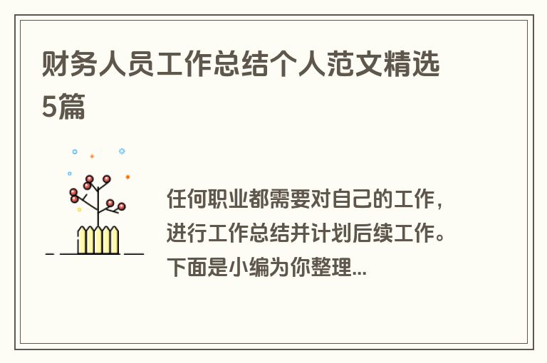 财务人员工作总结个人范文精选5篇