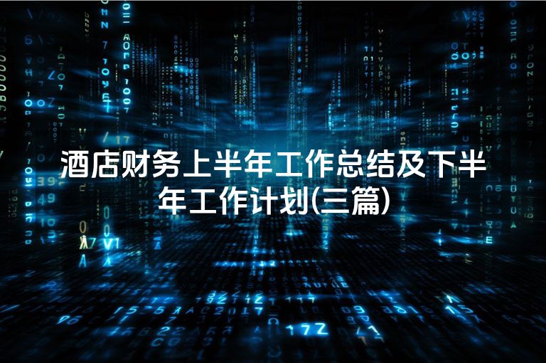 酒店财务上半年工作总结及下半年工作计划(三篇)