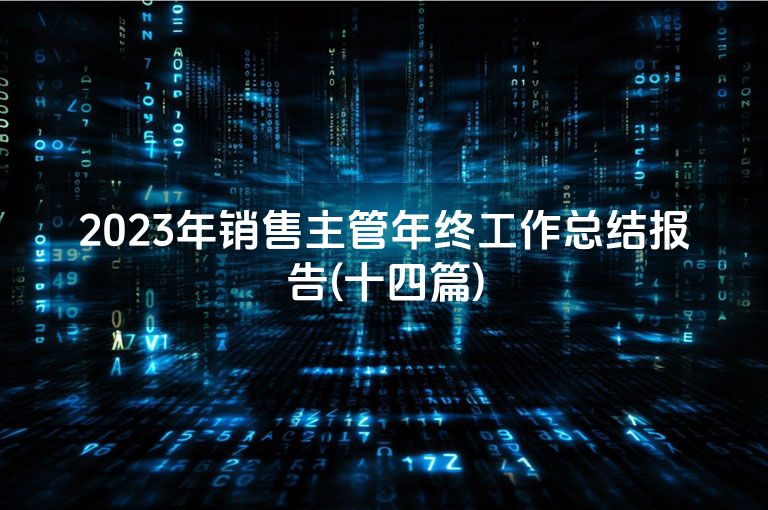 2023年销售主管年终工作总结报告(十四篇)