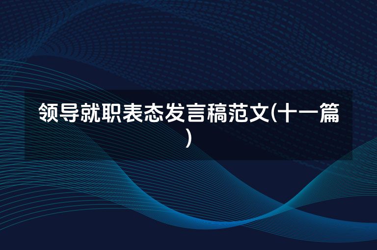 领导就职表态发言稿范文(十一篇)