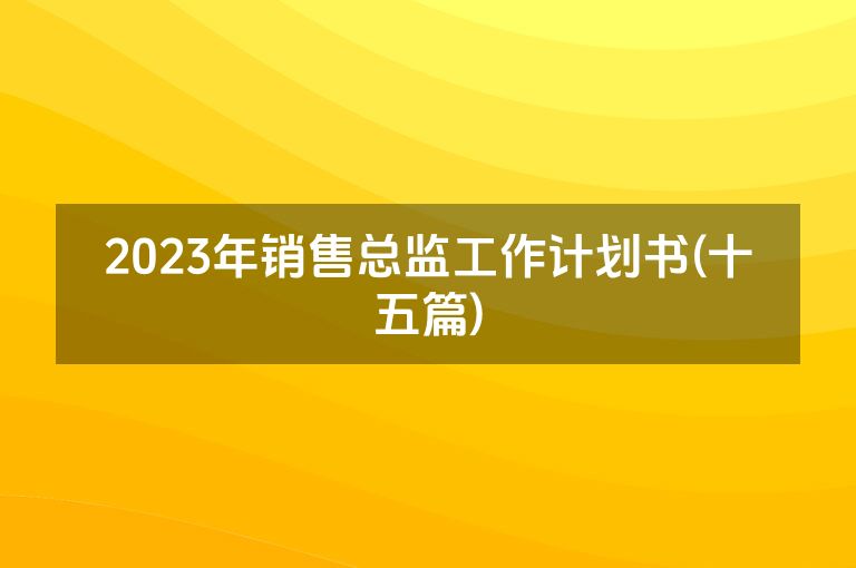 2023年销售总监工作计划书(十五篇)
