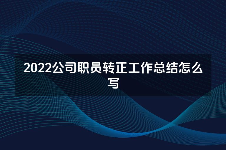 2022公司职员转正工作总结怎么写