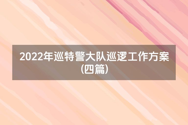 2022年巡特警大队巡逻工作方案(四篇)