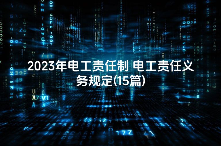 2023年电工责任制 电工责任义务规定(15篇)