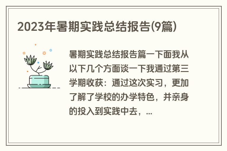 2023年暑期实践总结报告(9篇)