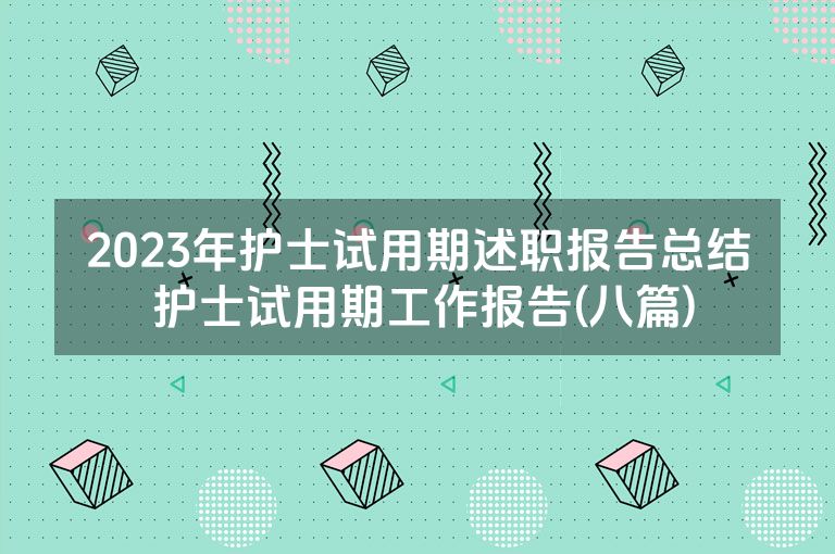 2023年护士试用期述职报告总结 护士试用期工作报告(八篇)