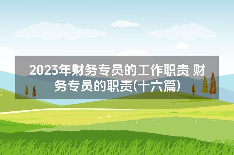 2023年财务专员的工作职责 财务专员的职责(十六篇)