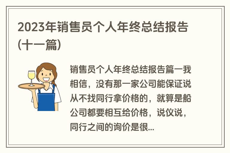 2023年销售员个人年终总结报告(十一篇)