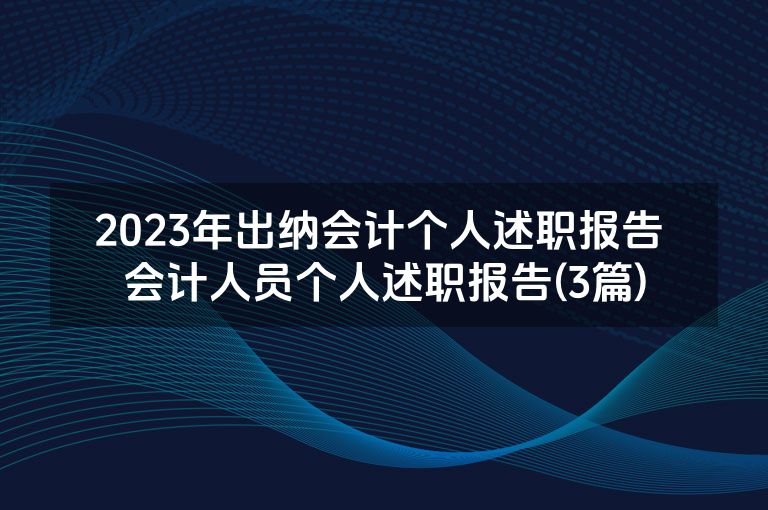 2023年出纳会计个人述职报告 会计人员个人述职报告(3篇)